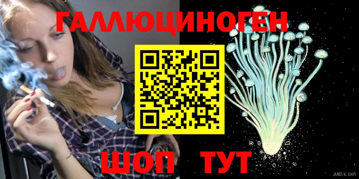 Заводоуковск  Галлюциногенные грибы Cubensis  Вход с VPN 